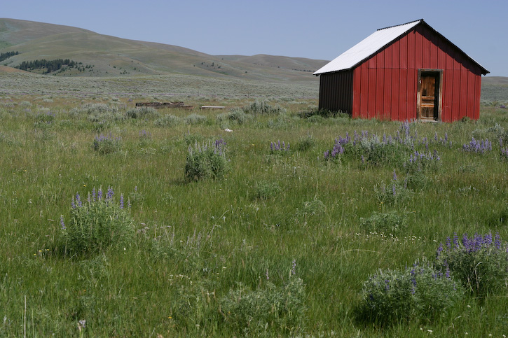 Red Shack