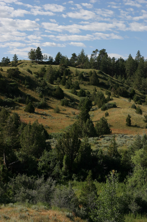 Hill and Sky