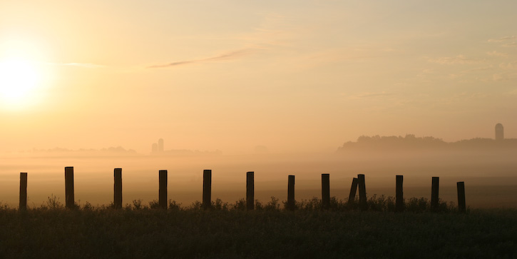 Farm Misty Sunrise