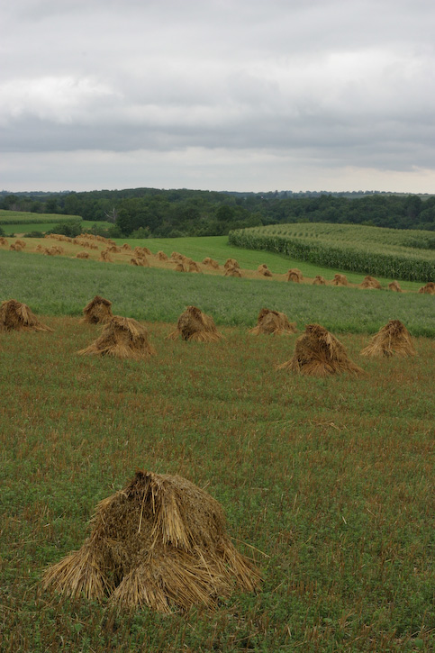 Haystacks by Horse