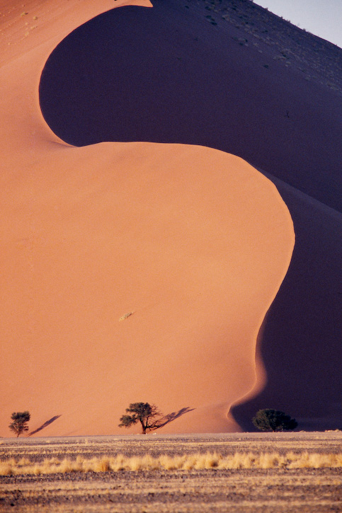 Curved Red Dune