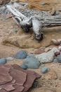 Layered Rocks and Driftwood