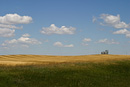 Rolling Farm Field One