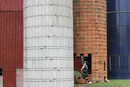 Colorful Silos