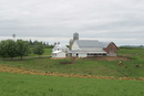 Farm View