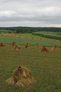 Haystacks by Horse